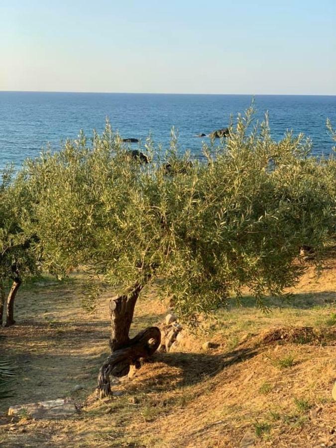 Вілла Ogliastro Sul Mare - Sleep And Dream Чефалу Екстер'єр фото